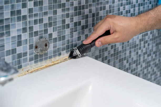 Best Mold Testing  in Lake Nacimiento, CA